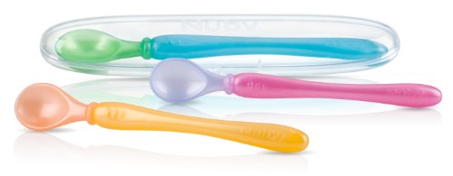 Nuby 3-Pack Easy Go Spoons with Travel Case 9 Months Plus 1