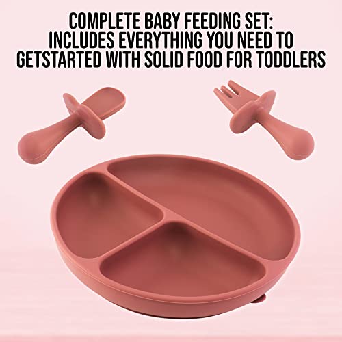 Antarez Baby Led Weaning Set with Sippy Cup