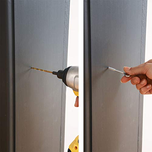 Evenflo Expansion Walk Thru Room Divider Gate 1