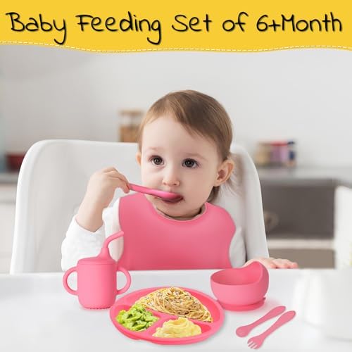 Aainbeots Silicone Baby Feeding Set 10 Pcs for 6 Months