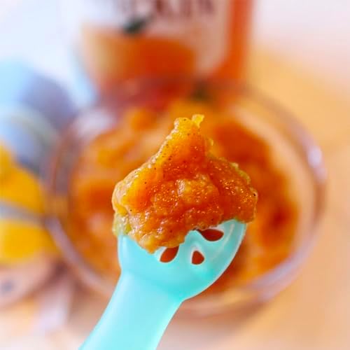 ChooMee FlexiDip Baby Learning Utensil 4 Months