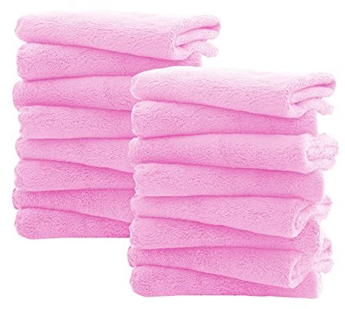 16 Pack Frozen Berry Burp Cloths for Baby