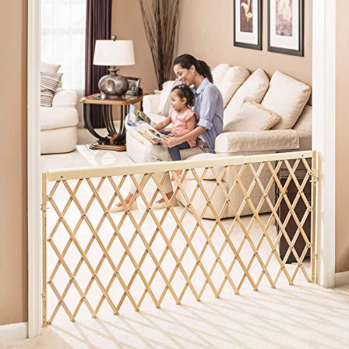 Evenflo Expansion Walk Thru Room Divider Gate 1