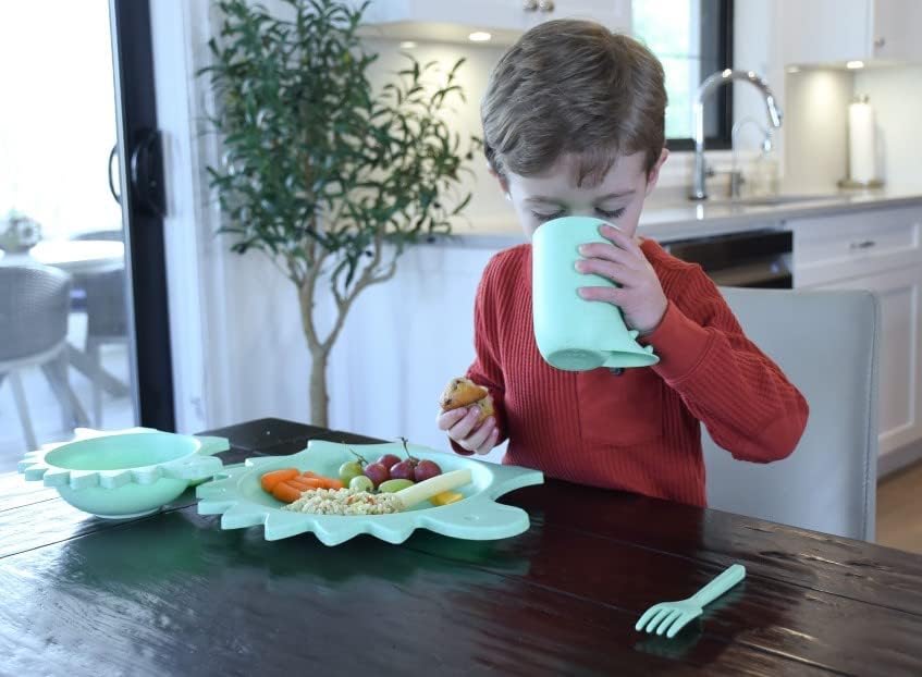 melii 5 Piece Dinosaur Cellulose Meal Set